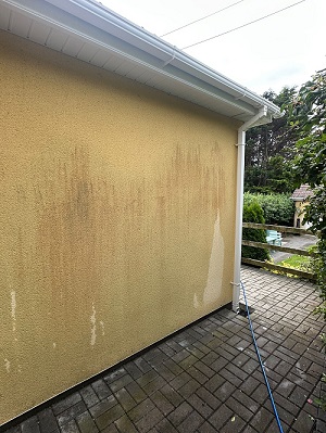Wall prev
