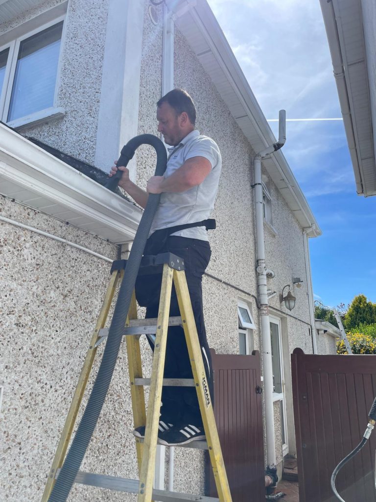 gutter cleaning