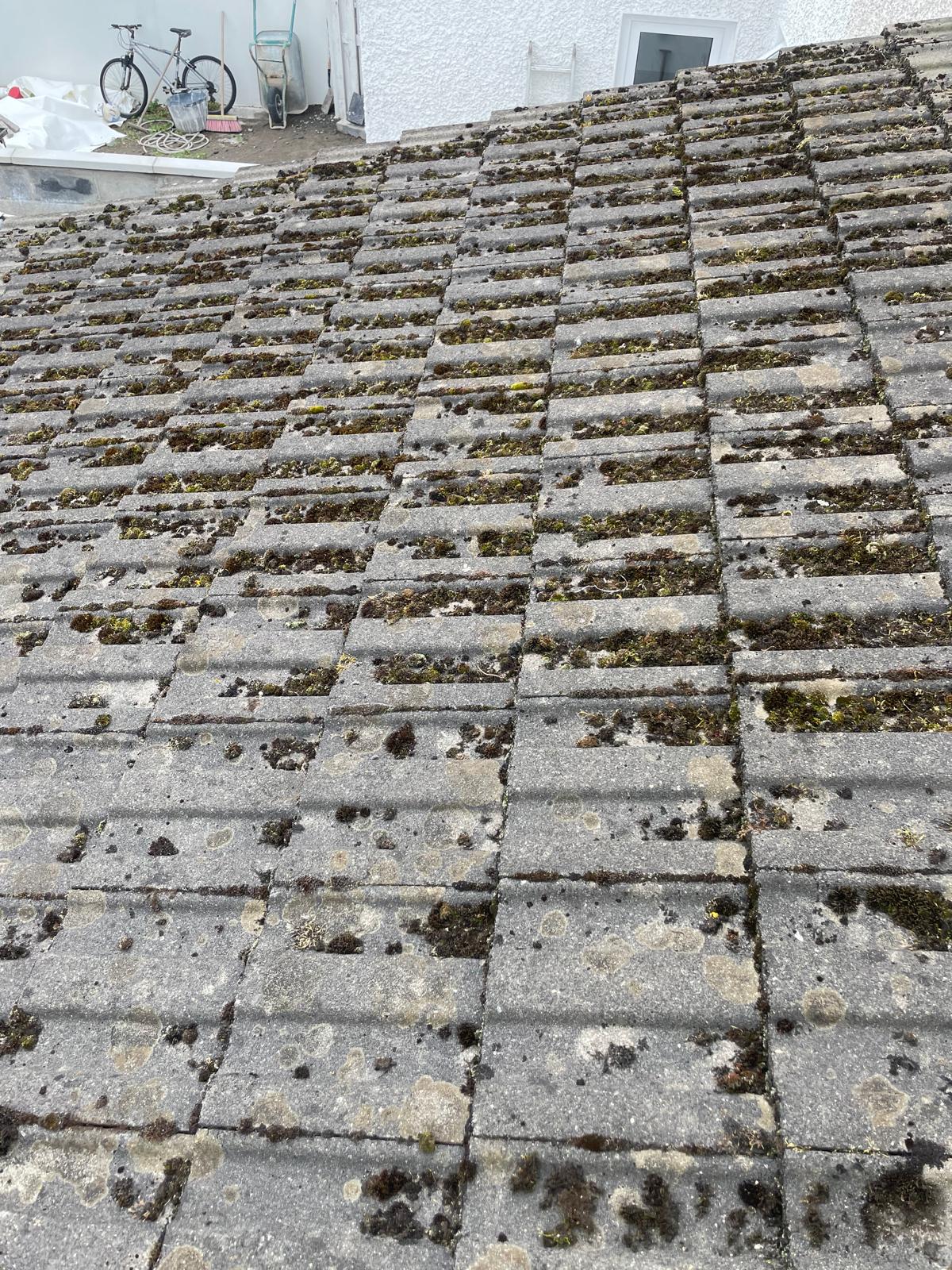 roof_cleaning_before