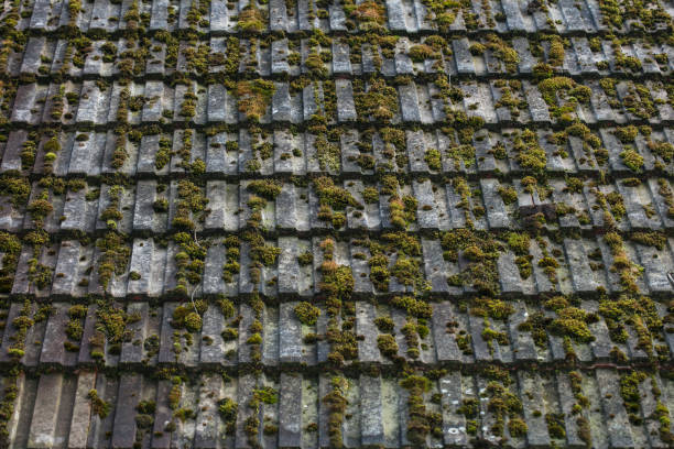 Algae & Lichen Removal roof Roof Cleaning Dublin 15