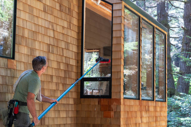 Exterior Window Cleaning