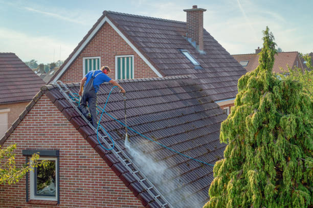 Roof Cleaning Dublin 15