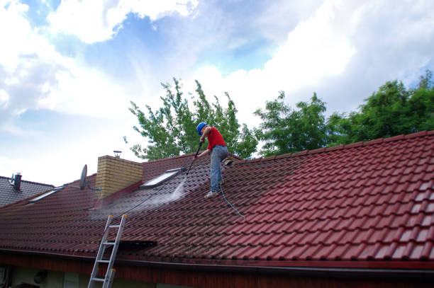 Professional Roof Cleaning Services