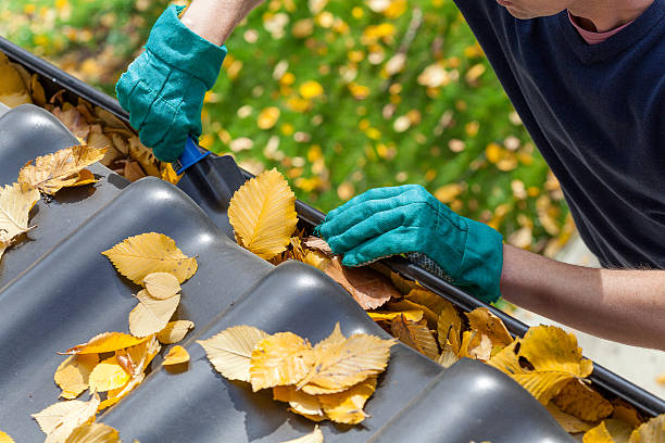 Regular Gutter Cleaning Is Important