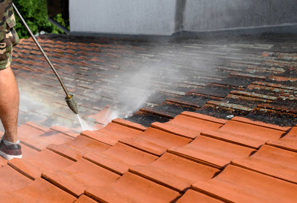 Roof Cleaning Dublin 15
