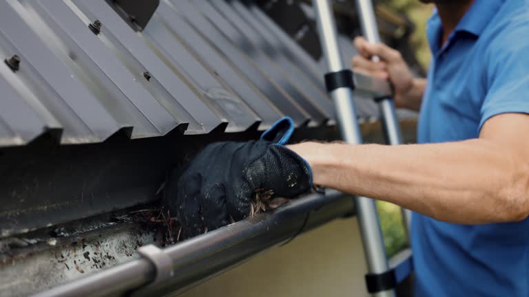 Roof Cleaning Dublin