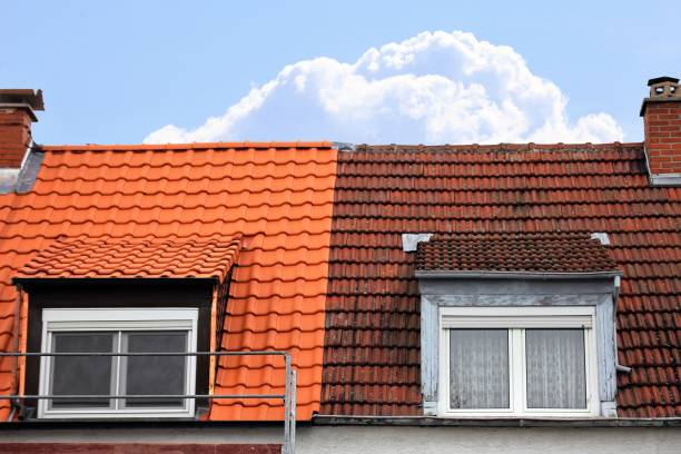 Roof Cleaning Services