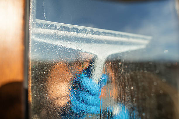 Seasonal Window Cleaning