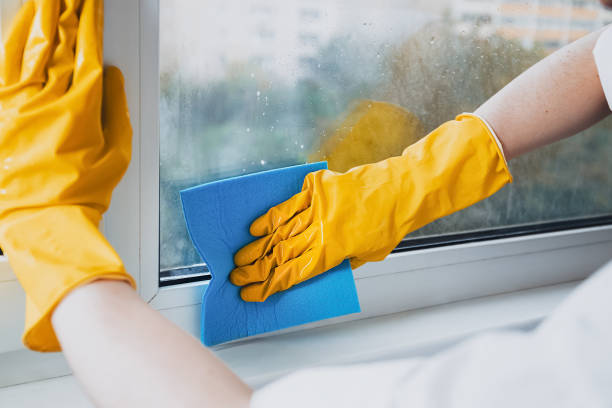 Window Cleaner Services Dublin