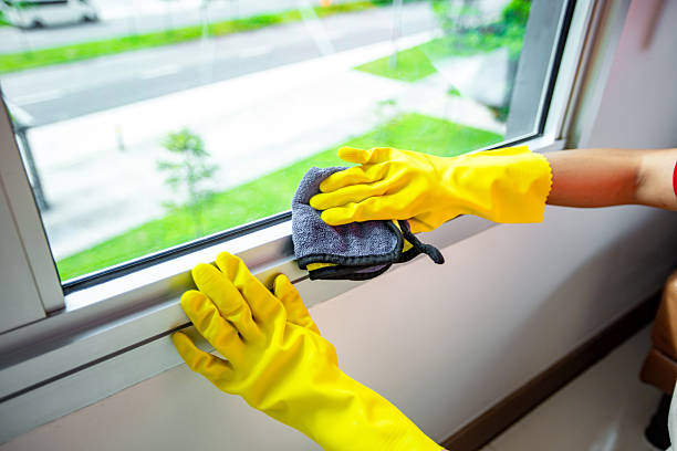 Window Frame and Sill Cleaning