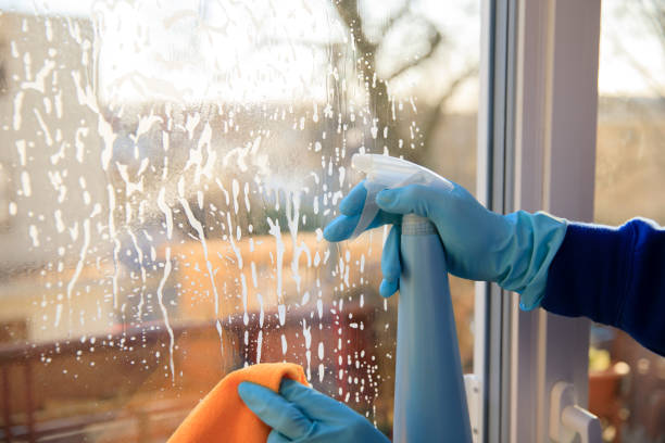 Best Window Cleaning Service